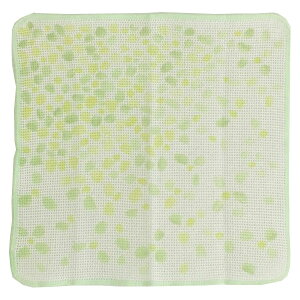 y4ȏwő ႢOKz { Knit KITCHEN cloth cD Lb`NX Lb`^I 琶nӂ fBbVNX H@ zQ u  100% v`Mtg 