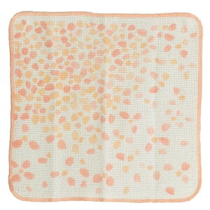 y4ȏwő ႢOKz { Knit KITCHEN cloth cD Lb`NX Lb`^I 琶nӂ fBbVNX H@ zQ u 100% v`Mtg v[
