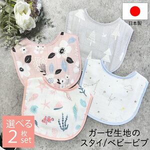 { X^C 悾ꂩ xr[ru Iׂ2Zbg cD [  y[֑z @\Q Ԃpi z   Vv O[ S4F 22×30cm 