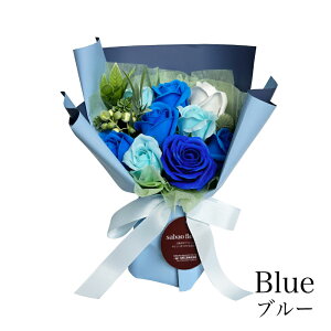 \[vt[ u[P^ X^ht  Mtg ԑ v[g ʊ a sp-st v[g j JXj   Ď ̓   ސEj  Ԃ LO 