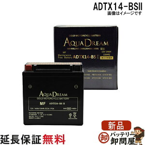 ADTX14-BSII �o�C�N �A�N�A�h���[���S�[���h�o�b�e���[ �݊� YTX14-BS FTX14-BS YTX14-BS RBTX14-N DTX14-BS ATX14-BS CTX14-BS BTX14-BS STX14-BS PTX14-BS