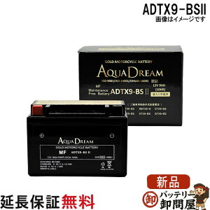 ADTX9-BSII �o�C�N �A�N�A�h���[���S�[���h�o�b�e���[ �݊� YTX9-BS GTX9-BS FTX9-BS KTX9-BS YTX9-BS RBTX9-N DTX9-BS ATX9-BS CTX9-BS BTX9-BS STX9-BS PTX9-BS