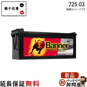 725-03 Banner �o�i�[�o�b�e���[ �݊� 725-103-115 72503 VARTA ���B�ԗp