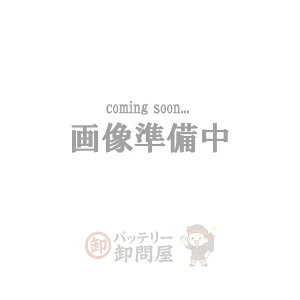 NK-509 �A�h���X �j�V���g �T�C�h�X�^���h ���{ NISHIMOTO �A�h���X CA1CB CA1CA �`���[�� EX �Z�s�A�X�|�[�cZZ�E�X�Y�L