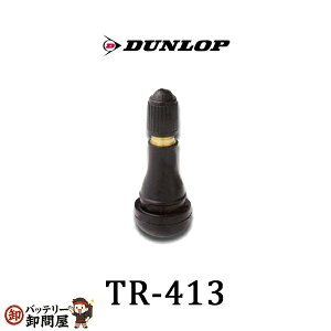 �y�䂤�p�P�b�g�z�_�����b�v 208245 �ԗp�o���u �ėp �`���[�u���X �p �G�A�o���u TR-413 DUNLOP