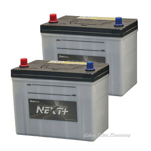G&Yu [�W�[�A���h���[] �o�b�e���[ NST-105D26R�s������2�Z�b�g�t�@NEXT�v���X�@�X�^���_�[�h�V���[�Y�y�[�d����ԑΉ��z