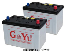 G&Yu バッテリー HD-D31R 《お得な2個セット》