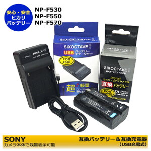Zbgl\j[@NP-F550 /NP-F570/NP-F500Ή@݊obe[@Ɓ@USB[d́@2_HDR-FX1000E / HDR-FX7@Party DAM HD / DSR-PD100 / DSR-PD100A / DSR-PD100AP / DSR-PD150 / DSR-PD150P / DSR-PD170 / DSR-P