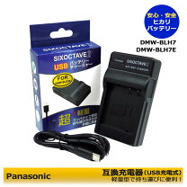 楽天市場】パナソニックdc－gf10充電器の通販