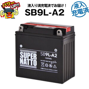 �y�}���\�����G���g���[��P10�{�zSB9L-A2�E�t���E������[�d�ρ��o�C�N�o�b�e���[��YB9L-A2 GM9Z-3A-1 FB9L-A2�Ɍ݊����X�[�p�[�i�b�g�y�������E�ۏ؏��t���z���Y�����o�b�e���[�ɔ��鐫�\��r��