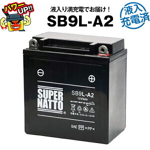 SB9L-A2EtE[dρoCNobe[YB9L-A2 GM9Z-3A-1 FB9L-A2Ɍ݊X[p[ibgyEۏ؏tzYobe[ɔ鐫\rfڒyViz