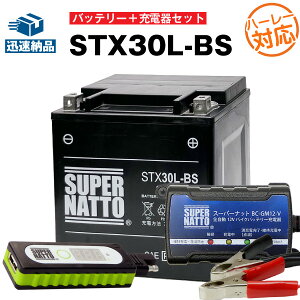 【マラソン限定★エントリーでP10倍】バイクでスマホ充電 USBチャージャー+充電器+ハーレー用 STX30L-BS セット シールド型 ■バイクバッテリー■66010-97B 66010-97C 66010-97A互換 スーパーナット充電