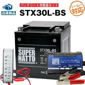 y}\聚Gg[P10{zoCNobe[[d+obe[deX^[(12Vp)+STX30L-BS(n[[p)Zbg V[h^ oCNobe[66010-97B 66010-97C 66010-97A݊{e