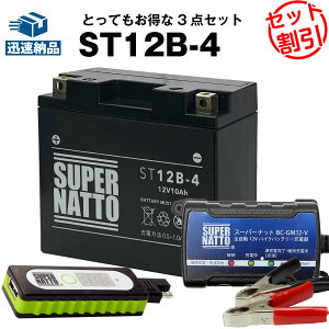 y}\聚Gg[P10{zoCNŃX}z[d USB`[W[+[d+V[h^ST12B-4 ZbgoCNobe[YT12B-BS GT12B-4 FT12B-4 12V12B-4Ɍ݊ X[p[ibg[di12Vj 