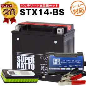 バイクでスマホ充電 USBチャージャー+充電器+ハーレー用 STX14-BS セット■バイクバッテリー■YTX14-BS互換 スーパーナット充電器(12V)(液入済)