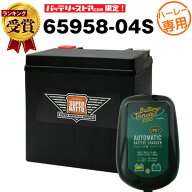 【マラソン★エントリーでP10倍】【お得な2点セット】バッテリーテンダー800 充電器＋AGMバッテリー 6595…
