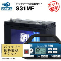 楽天市場】ディープサイクルバッテリー 容量（その他｜アウトドア 
