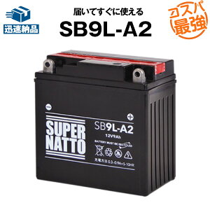 SB9L-A2oCNobe[yYB9L-A2݊zRXpŋI̔100˔jIGM9Z-3A-1 FB9L-A2݊y100ۏ؁zX[p[ibg(t)