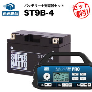 y}\聚Gg[P10{zoCNobe[[d+ST9B-4ZbgoCNobe[YT9B-BS GT9B-4 FT9B-4 12V9B-4 ݊X[p[ibg[dPRO 12VEX[p[ibg(t)