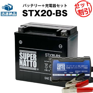 oCNobe[[d+n[[p STX20-BS Zbg V[h^ oCNobe[65991-82B 65991-82A 65991-75C݊XLH X|[cX^[,XL,XLCR,XLS [hX^[,XLX-61,XR1000,FXE1200 X[p[OCh