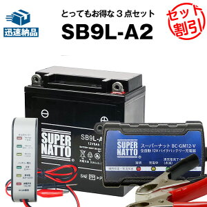 oCNobe[[d+obe[deX^[i12Vpj+SB9L-A2 ZbgoCNobe[YB9L-A2 GM9Z-3A-1 FB9L-A2Ɍ݊{eBNXEX[p[ibgyzyʊzGSX-R250,GPX25