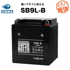 yX[p[SALEGg[P10{zSB9L-BoCNobe[yYB9L-B݊zRXpŋI̔100˔jI12N9-3B GM9Z-3B FB9L-B݊y100ۏ؁zX[p[ibg