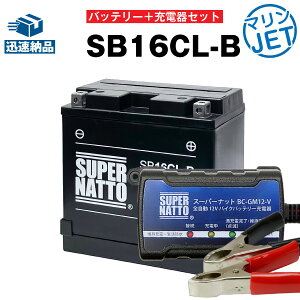 �W�F�b�g�X�L�[�E����o�C�N�o�b�e���[�[�d��+ �V�[���h�^ SB16CL-B�Z�b�g��YB16CL-B FB16CL-B OTX16CL-B�݊���MarineJet,WaveJmmer,WaveRunner,Superjet,WaveVenture,Jet Ski,SEA DOO,TigerShark,Hurricane,SL700 ���y�}�����W�F�b