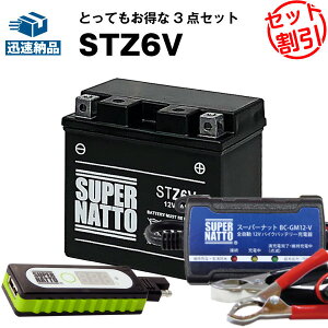 oCNŃX}z[d USB`[W[+[d+STZ6V ZbgoCNobe[YTZ6VɌ݊ X[p[ibg[di12Vj /݌ɗLE[yViz