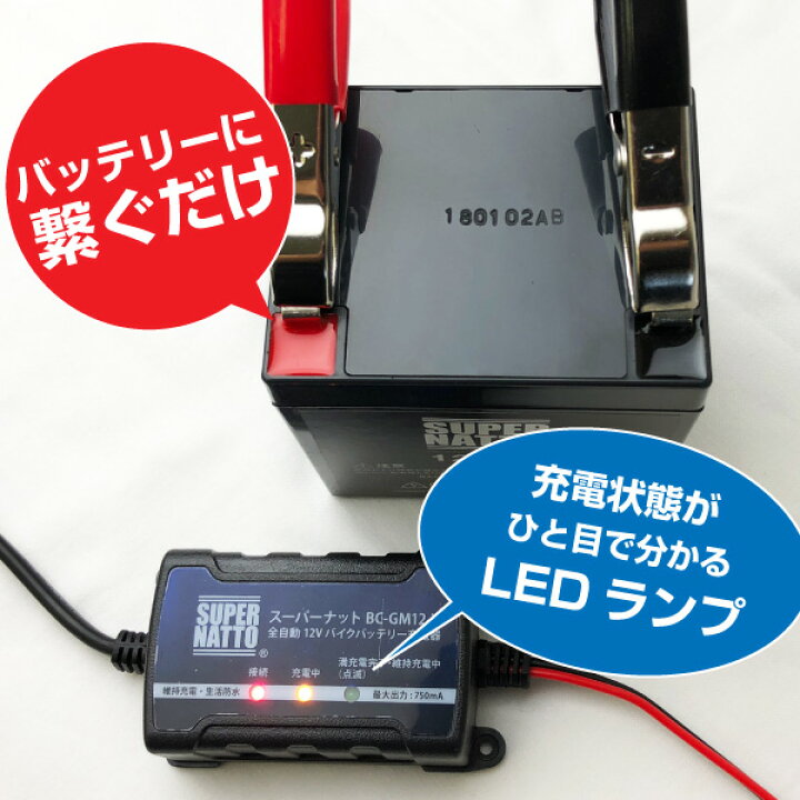 楽天市場】電動リール バッテリー□バッテリー（12V20Ah） 2個 ダイワ 