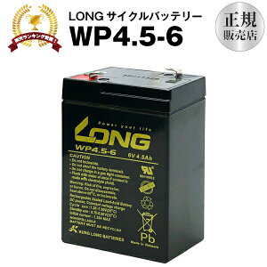 WP4.5-6iYƗp~drjyTCNobe[zyVizLONGyEۏ؏tzd|PoCȂǑΉ