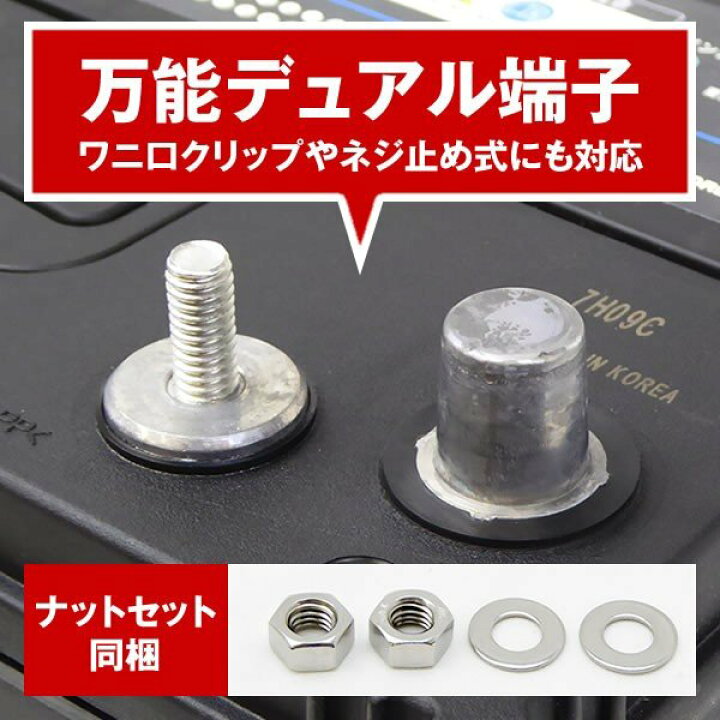 楽天市場】【お得な3点セット】S31MF 2個 + 並列用ケーブルセット 