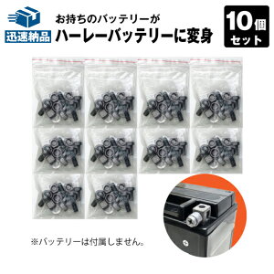 �y�労�ӍՁ��G���g���[��P10�{�z�n�[���[�݊��o�b�e���[�Ή� �����O�{���g���X�y�[�T�[�y����10�Z�b�g�z YTX14-BS YTX14L-BS YTX20-BS YTX20L-BS YTX30L-BS �Ή��y�݌ɗL��E���[�z���̑��o�C�N�A�W�F