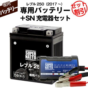oCNpobe[{[dZbgz_ u250 (2017N`)pobe[ HONDA X[p[ibg[d큡RXpŋ ̔100˔j 100ۏ X[p[ibg