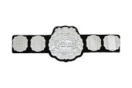 IWGP ジュニアヘビー級プラスチックチャンピオンベルト
