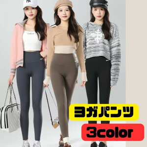 MX X|[c MX fB[X Xgb` EFA fB[X X|[c Y{ pc EH[LOpc jO W _Xpc 傫TCY KEFA Lk 