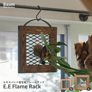 yЍH[z_^rJNV_ RE  {[h t AbN GLXph t[bN ANZT[ W Ǌ|  u^ 2way }Olbg  C