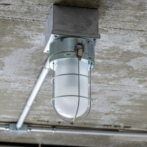 Ɩ 1 Cg V[OCg V[Ov SELKIRK CEILING LIGHT ZJ[N gram eight X|bgCg _ECg  Ɩ Ɩ F CeA k Q gC  