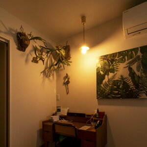 Ɩ Cg ^J 1 y_gCg y_gv ݉ PURA v[ gram eight OGCg ݂艺 V[OCg  Ɩ Ɩ CeA k JtF _