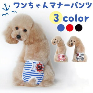  p }i[pc Tj^pc ̎qp pi q o pi X ivL }eCXg {[_[