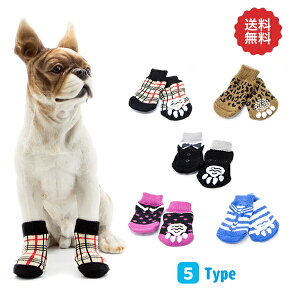 pC 4Zbg ~ ی V h  ^