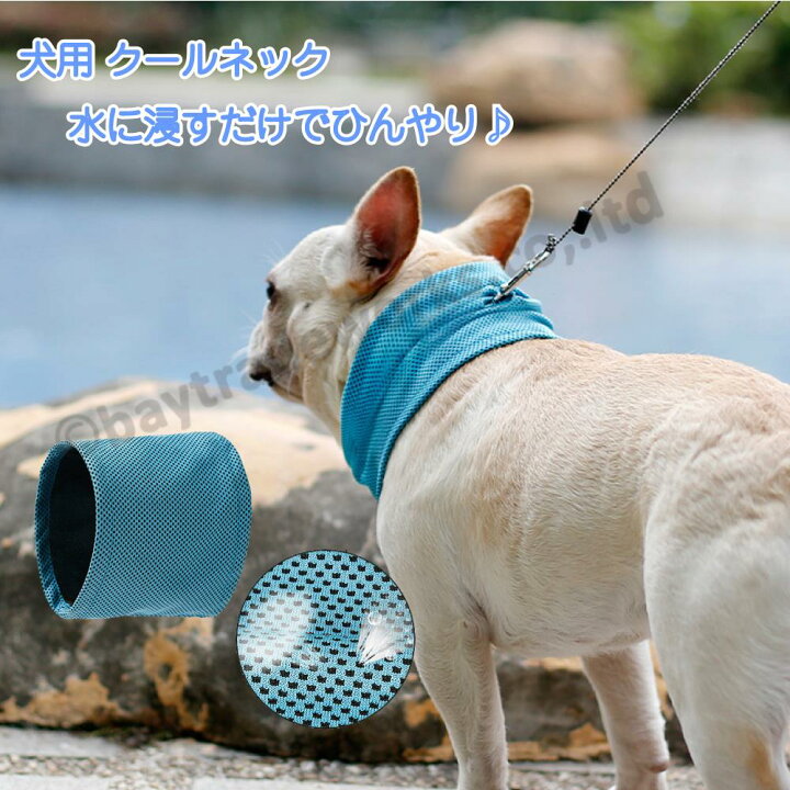 楽天市場 犬 クールネック 水に浸すだけでひんやり クールタオル クールバンダナ 熱中症対策 スカーフ 犬用 Bayt