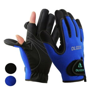 tBbVO O[u _CrO O[u tBbVBO  ނ wʂ w ʐ^Be