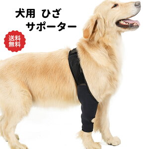 p Ђ T|[^[ ܎ ֐ veN^[ GT|[^[ PA nr P ؍ Oȗp ی V