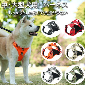 n[lX  ^ ^  U nht p@ɂ  g[jO