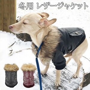  U[WPbgṽR[g vW ~ ^ ^ ybgEFA h o U   ̕ hbOEFA  L ^ ^ WPbg g h h