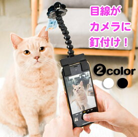 ペット撮影 セルフィースティック ペット用 カメラ目線 自撮り棒 犬 猫 撮影 スマホ セルカ棒 送料無料