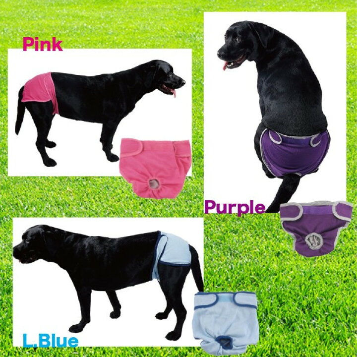 市場 ふく福 生理 ペット犬用 雌犬生理用品 犬マナーパンツ パンツ