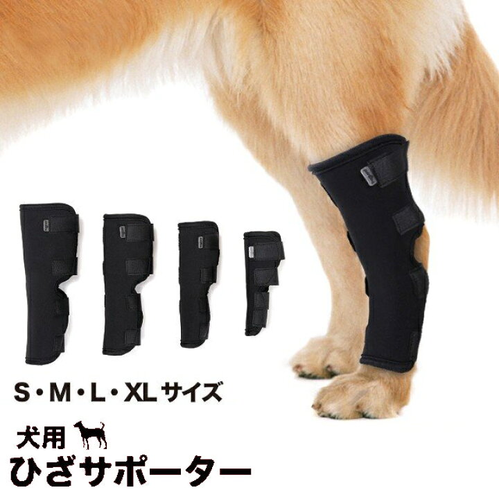 楽天市場 2個セット 犬用 ひざ 足根 サポーター 関節 骨折治療 関節 プロテクター 膝サポーター ケア リハビリ 捻挫 筋挫傷 外科用 傷を保護 Bayt