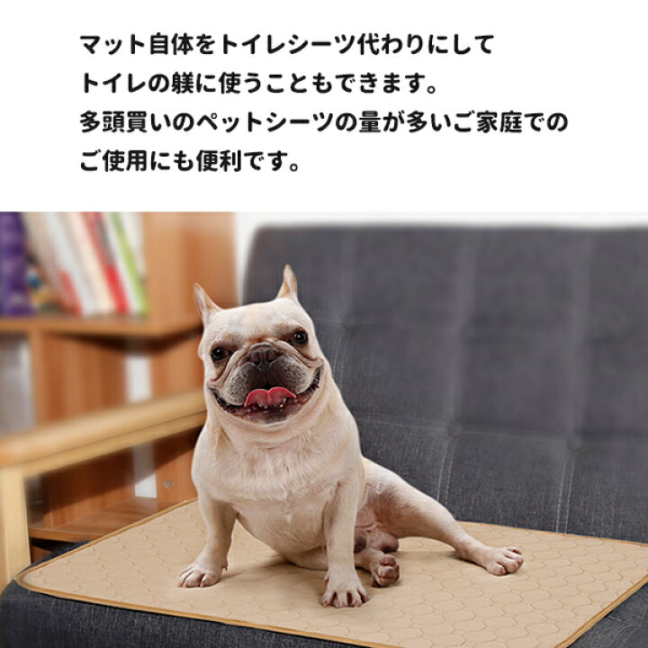 楽天市場 洗える ペットシーツ トイレマット おしっこパッド S Mサイズ 小中型犬 猫 犬用 ペット用 トイレ下敷きマット 介護 速乾 新入荷 Bayt
