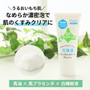 kCi`N[~[EHbV 100gykCn{ KXzntH[